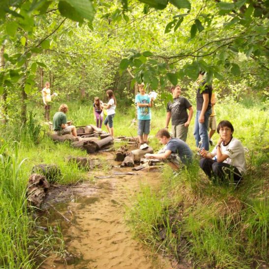 Kinder- und Jugendreise Pfingstspaß im Baerenthal 2016